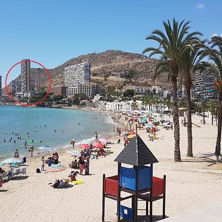 Gafner 8 Lägenhet Alicante Exteriör bild